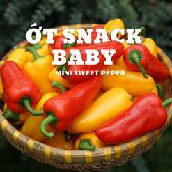 Mini Sweet Peppers