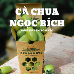 Jade Green Cherry Tomato