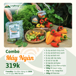 Combo Mây Ngàn - Langbiang Farm