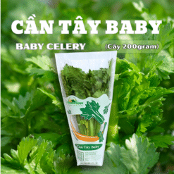 Cần tây baby