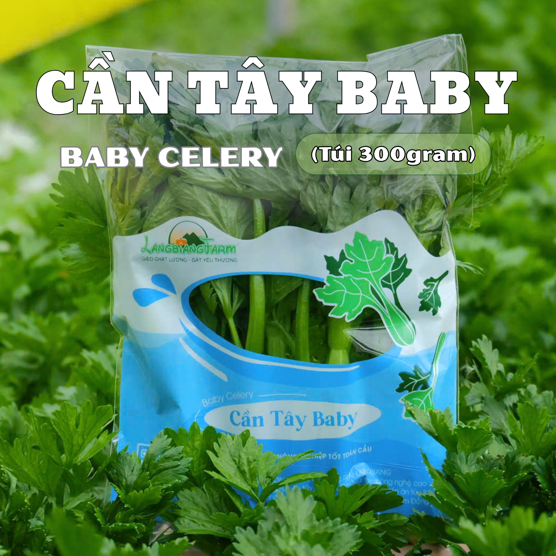 Cần tây baby Langbiang Farm - túi 300g