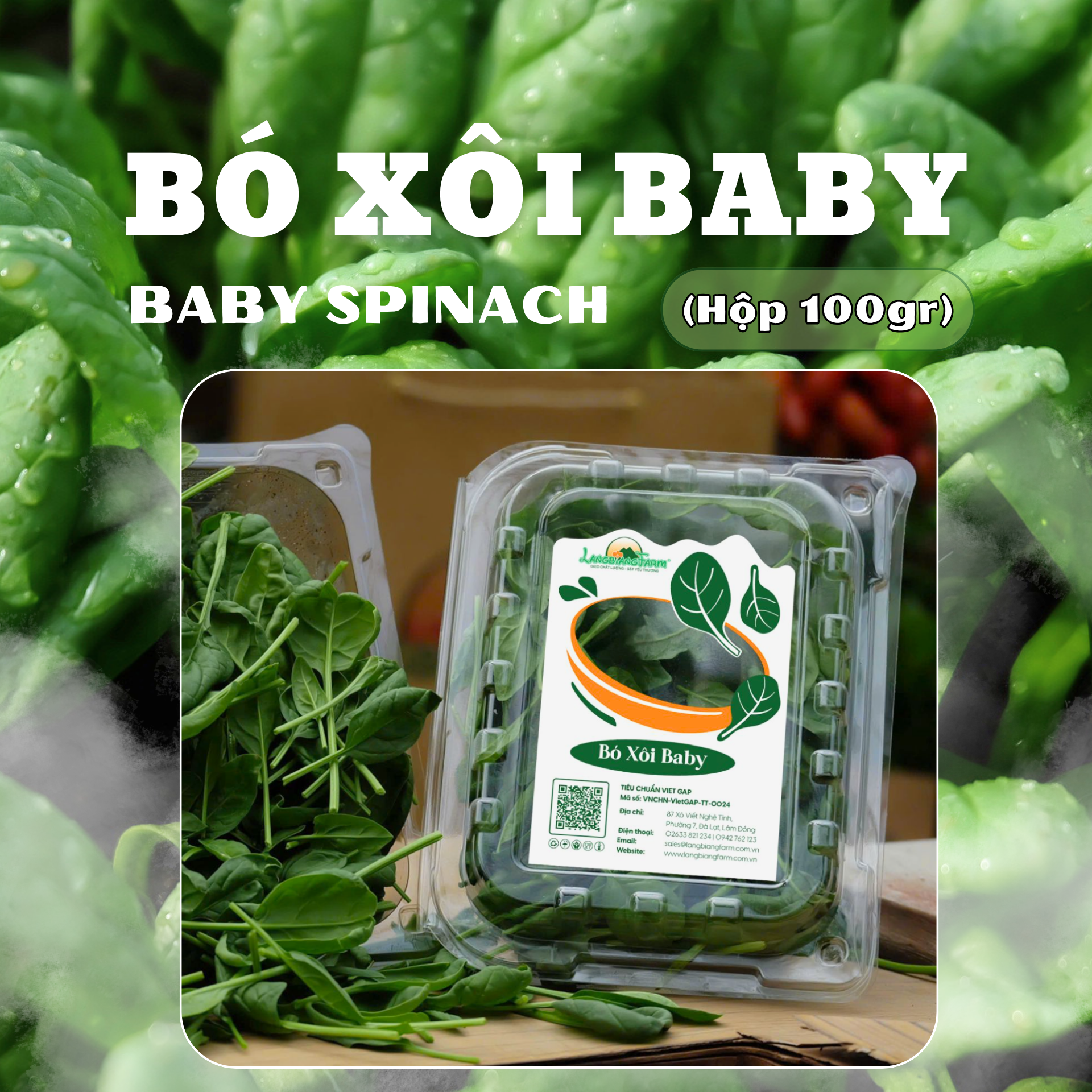 Bó xôi baby hộp 100gr
