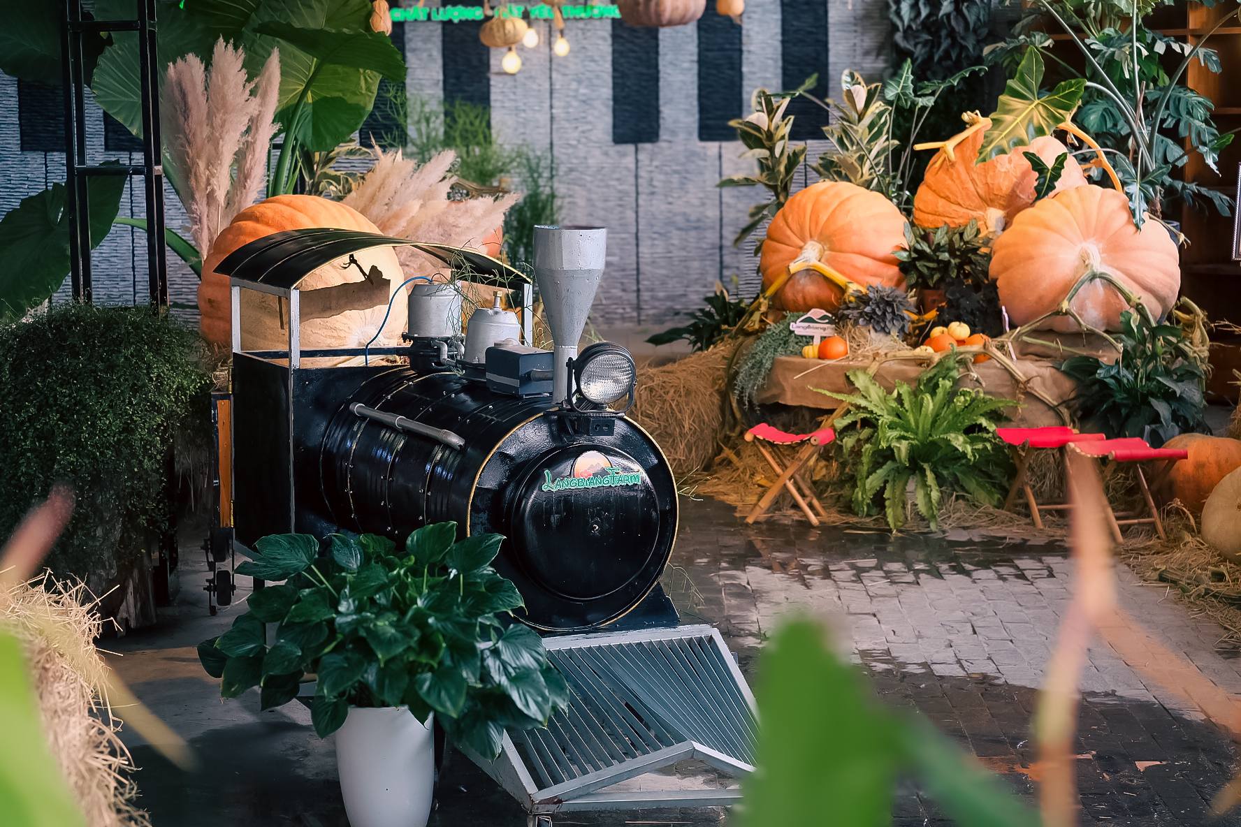 Bí khổng lồ được chuyển về Green Box Cafe