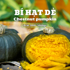 Bí hạt dẻ loại 1 - Langbiang Farm - trái thơm, dẻo, ngọt bùi