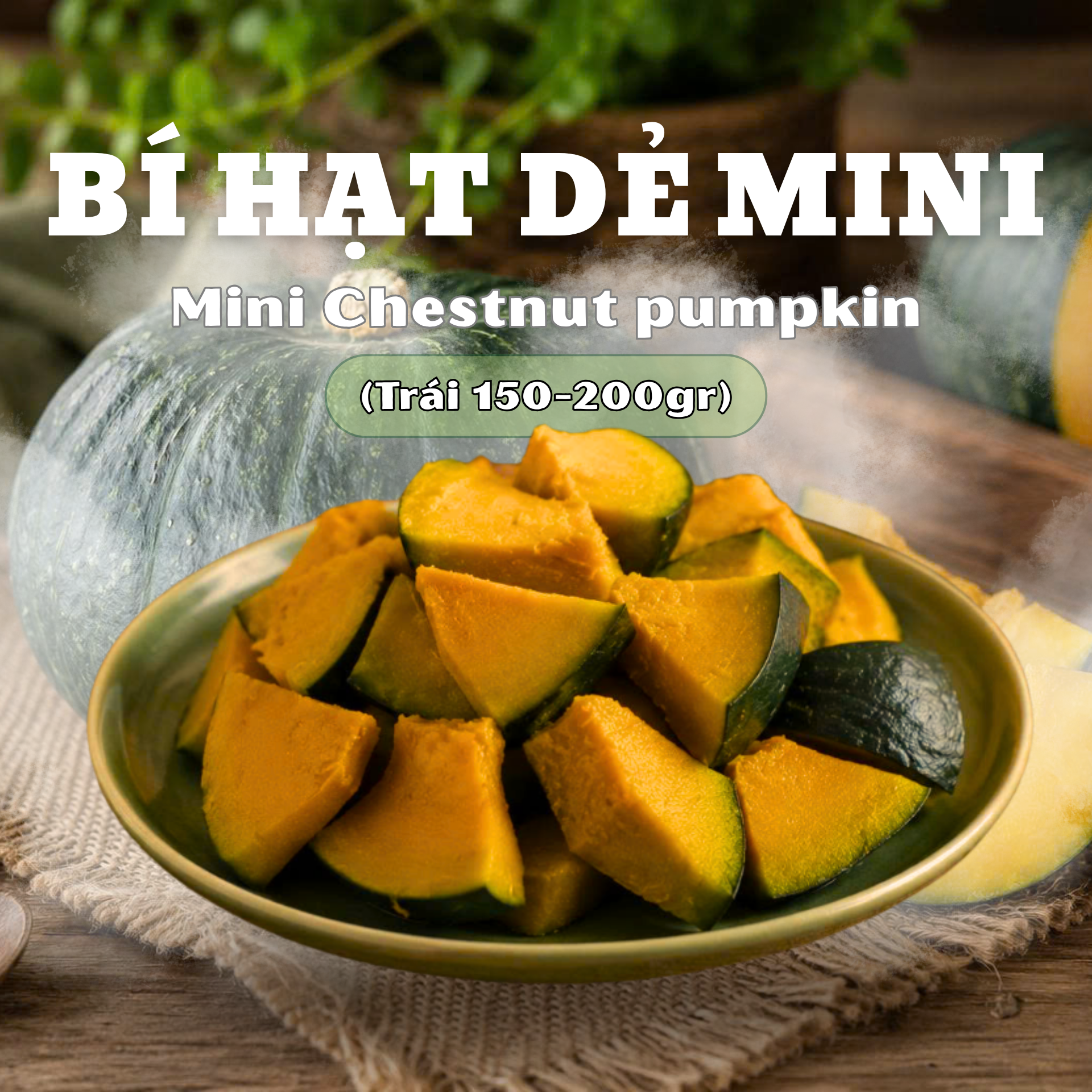 bí hạt dẻ mini Langbiang Farm - dẻo, ngọt, bùi