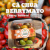 Cà chua berrymato