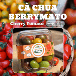 Cà chua berrymato