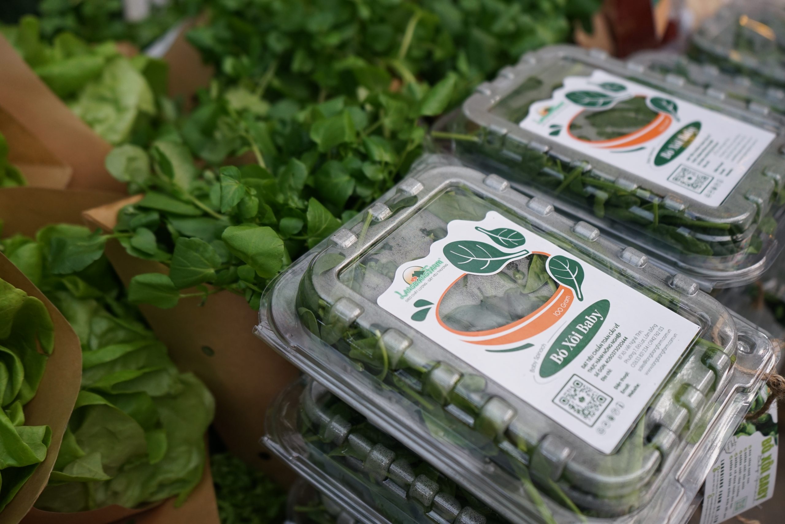 Bó xôi baby Langbiang Farm