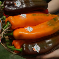 Ớt palermo loại 1 (kg)