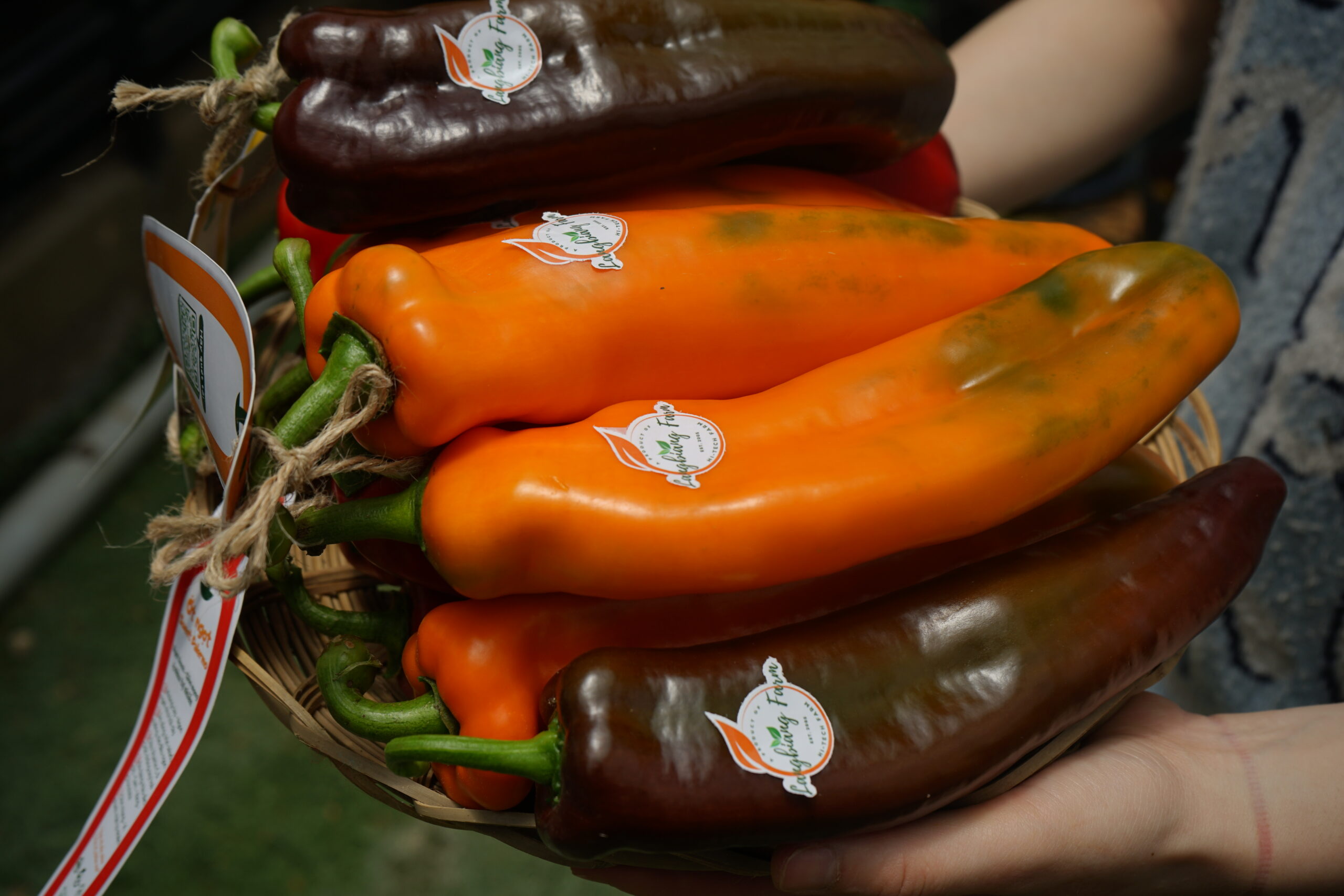 Ớt palermo loại 1 (kg)