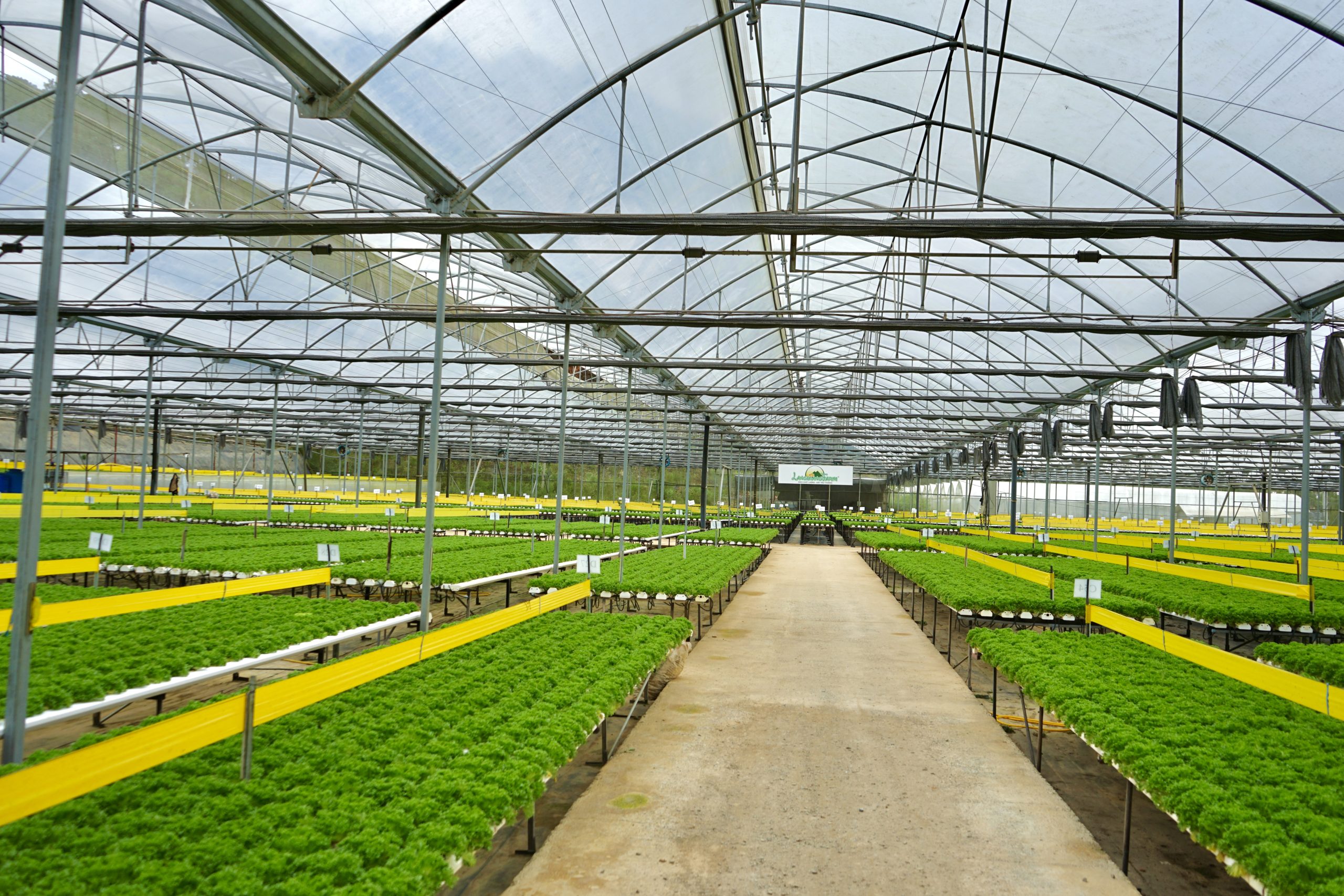 Trang trại công nghệ cao của Langbiang Farm