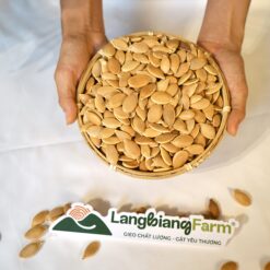Hạt giống bí khổng lồ - hạt