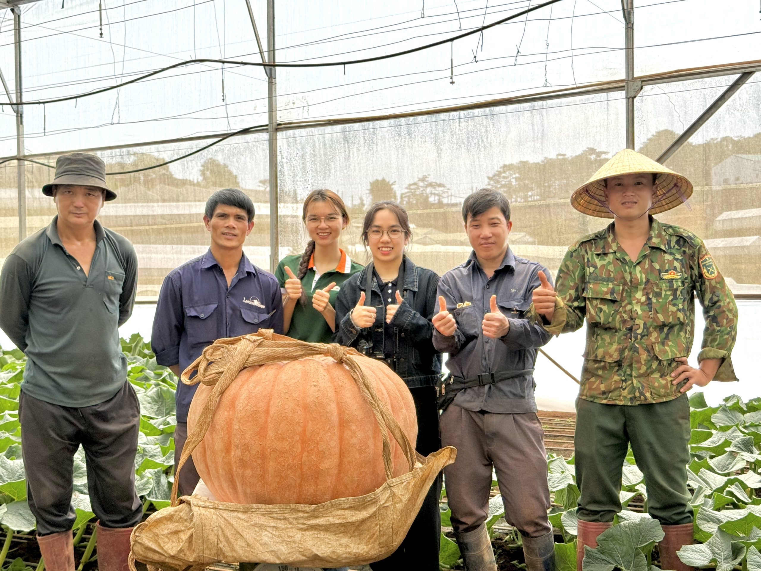 Bí khổng lồ tại Langbiang Farm