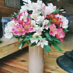 thủy tiên cắm chậu 1