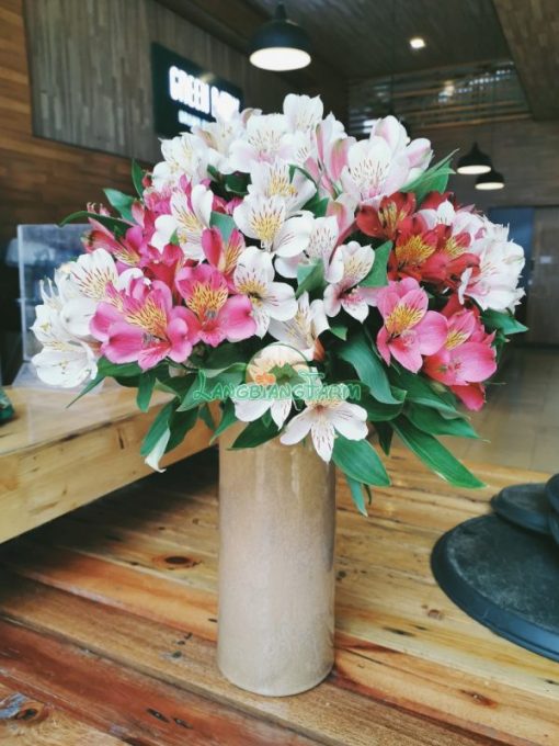 thủy tiên cắm chậu 1