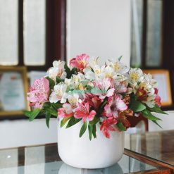Thủy tiên cắm chậu đặt văn phòng