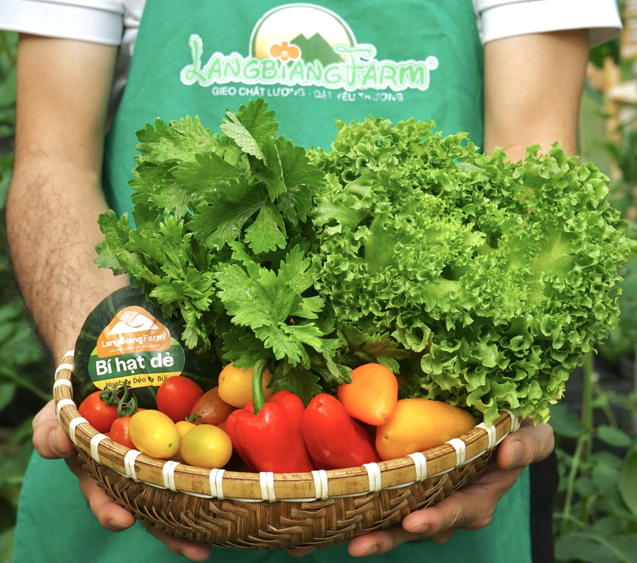 Combo rau Tinh Khởi - Langbiang Farm