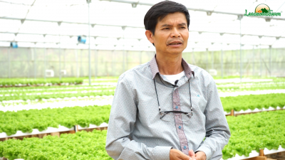 Ong-duong-chia-se-loi-ich-trong-rau-thuy-canh