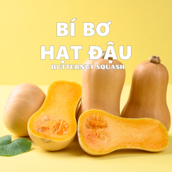 Bí bơ hạt đậu