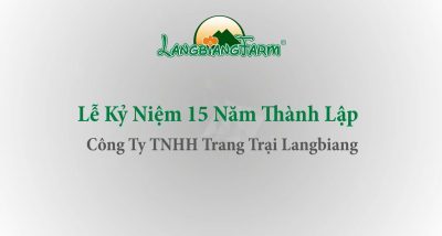 Le ky niem 15 nam thanh lap